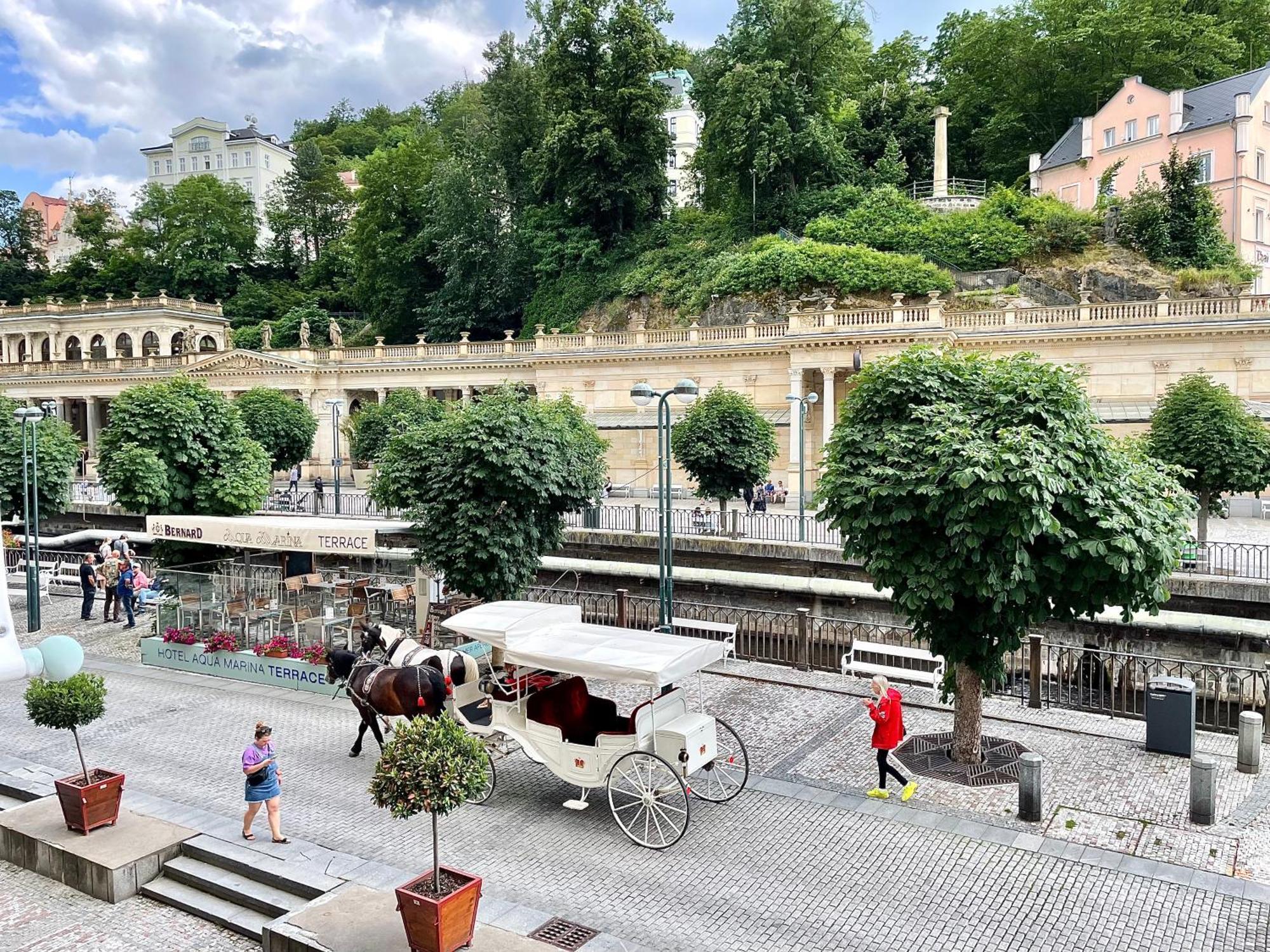 Carlsbad Grand Studio Michal Karlovy Vary Eksteriør bilde